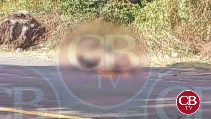 Trágico accidente en Uruapan: dos hombres atropellados por retroexcavadora