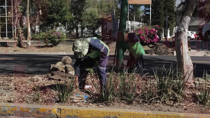 Av. Madero Pte., es embellecida por el Ayuntamiento de Morelia