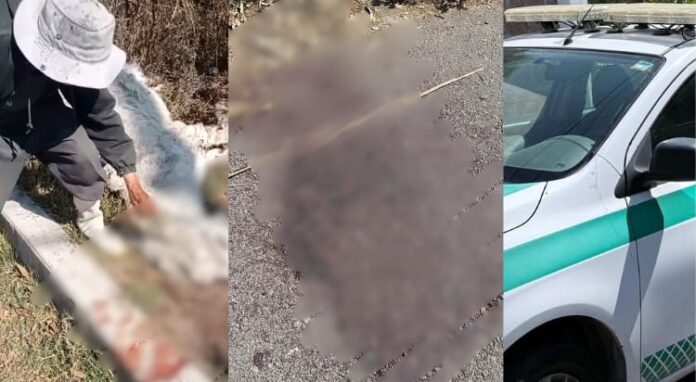 Asesinan de varios tiros a 