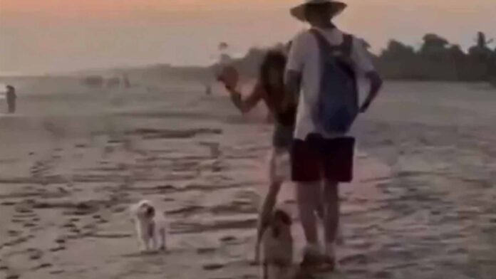 Mujer extranjera agrede a perritos en Oaxaca
