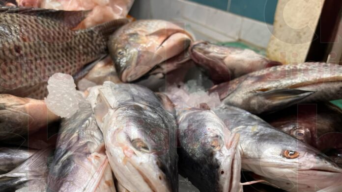 Inicio del operativo de Cuaresma en Mercado Nicolás Bravo