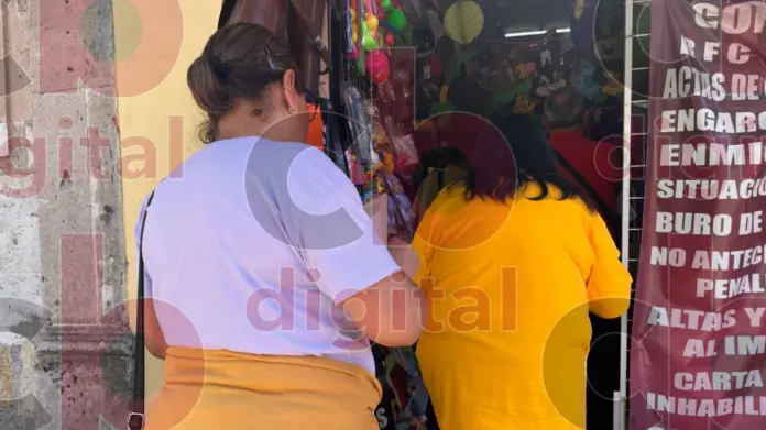 Desigualdad económica en Michoacán, solo 44% de mujeres tienen Ingreso