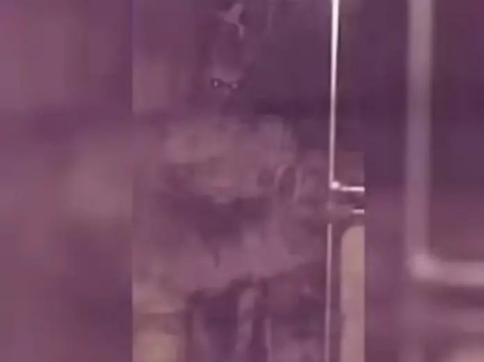 Captan supuesto demonio en el metro de CDMX