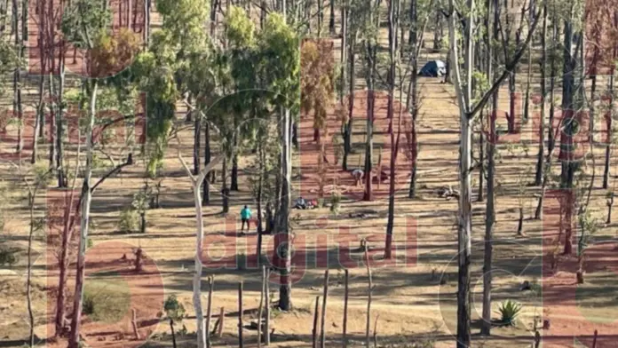 Vecinos acosados y amenazados, así la situación en Piedra del Indio