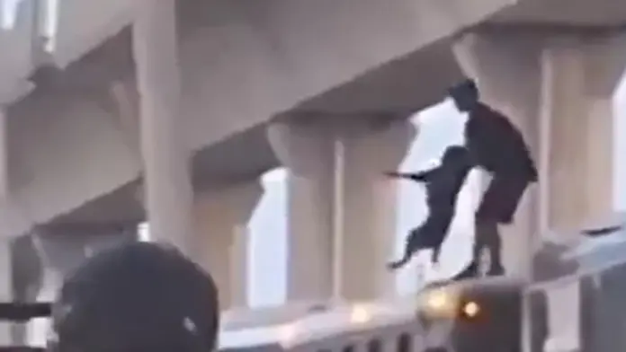 #Video: Arrojan a perrito desde techo de terminal de autobuses