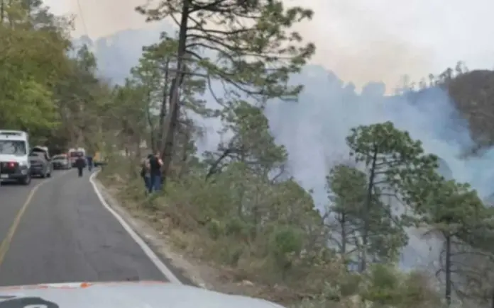 Al menos 12 muertos tras caída de vehículo a un barranco en Nuevo León