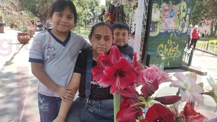 Pequeña Mayra, estudia y ayuda a sus padres en su trabajo