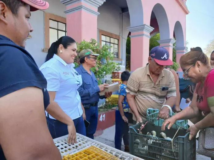 Ayuntamiento de Apatzingán realiza la segunda entrega de pollas de traspatio