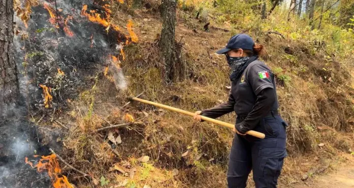 Solidaridad en acción: Instituciones y ciudadanos unidos contra el fuego en Queréndaro