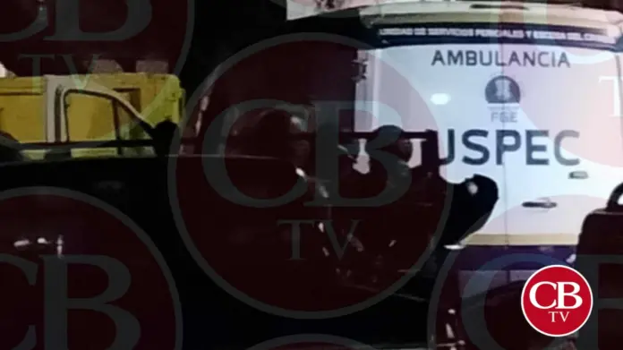 Localizan calcinado en un auto sobre la Morelia-Salamanca