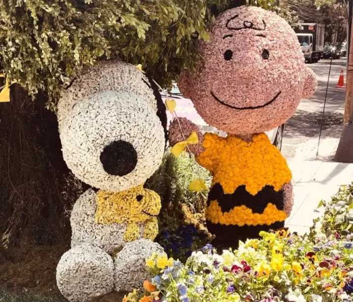 #Video: Se roban a un Snoopy hechos de flores