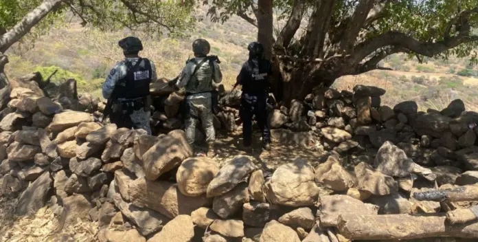 Desactivan explosivo y destruyen dos campamentos ilícitos en Parácuaro