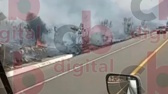 #Video: Se incendia autobús en la Siglo XXI