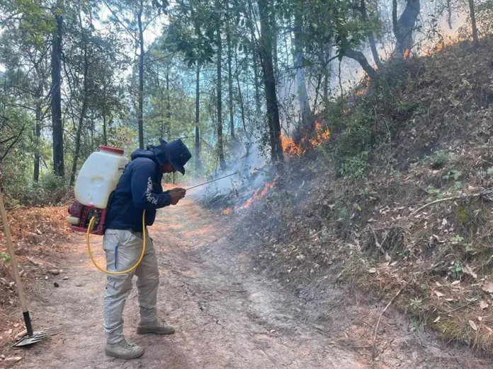 Brigadistas combaten incendio forestal en Queréndaro: entre Real de Otzumatlán y San Miguel Las Cuevas
