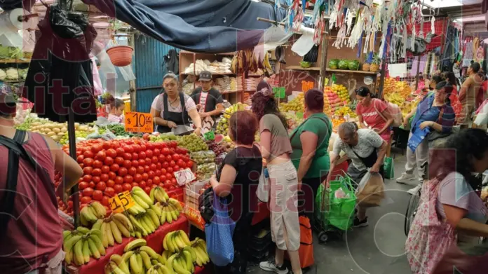 Se mantiene en 10 pesos el kilo de jitomate, en Mercado Independencia
