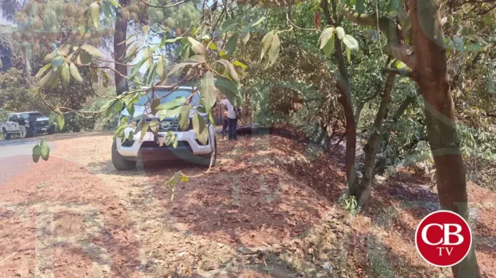 Muere al incendiarse una huerta en Peribán