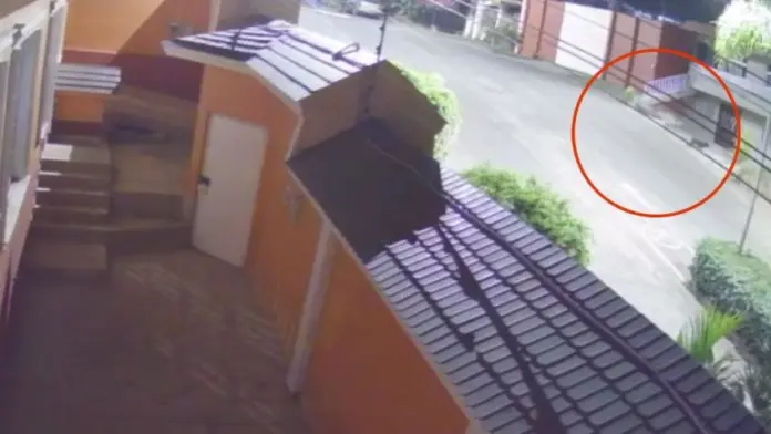 #VideoSensible: Balea a perrito que paseaba por banqueta en Uruapan
