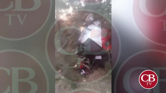 Torton derriba varios árboles en Uruapan