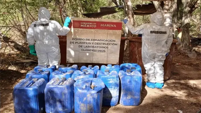 Destruyen narcolaboratorio y las siembras