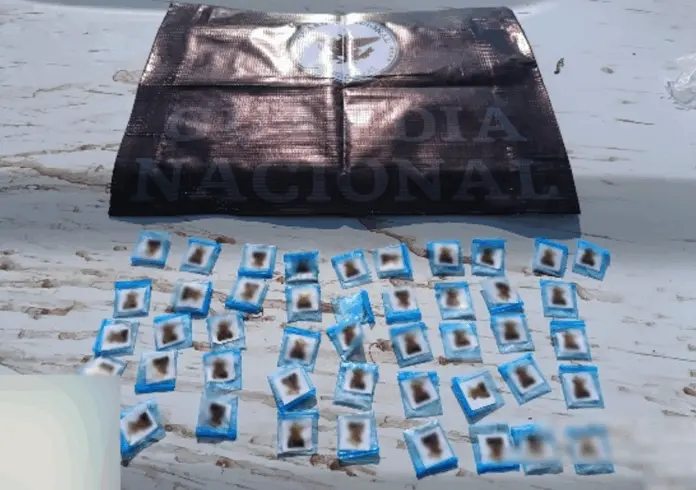 El Gabinete de Seguridad del Gobierno de México informa acciones relevantes del lunes 26 de mayo de 2025
