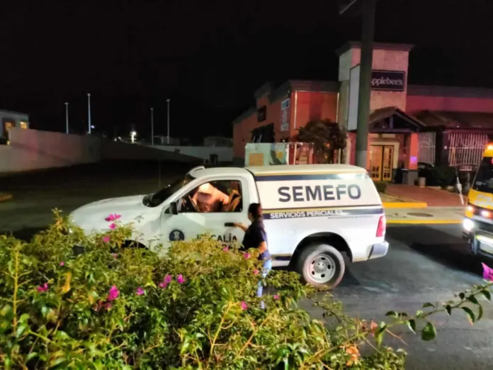 Muere peatón atropellado sobre avenida Camelinas