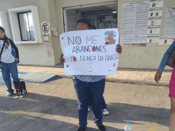 Incendian refugio animal “Colitas Felices” en Nayarit