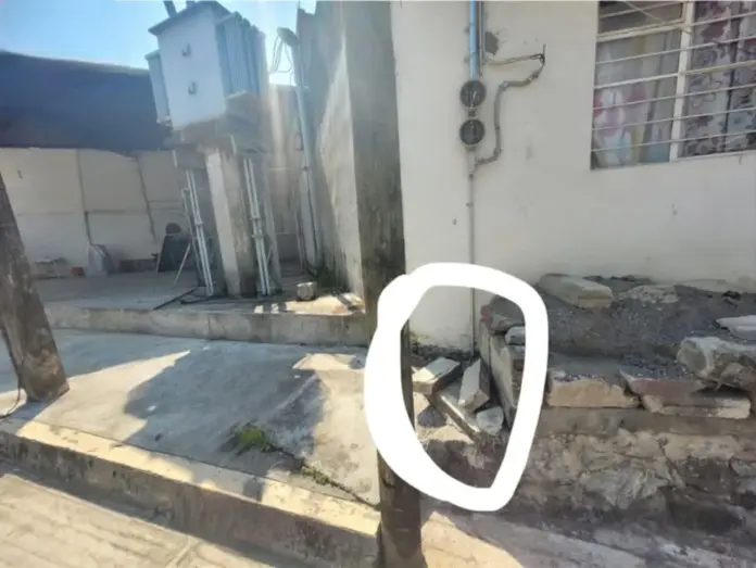 Crueldad animal en Xicotepec indigna a la comunidad