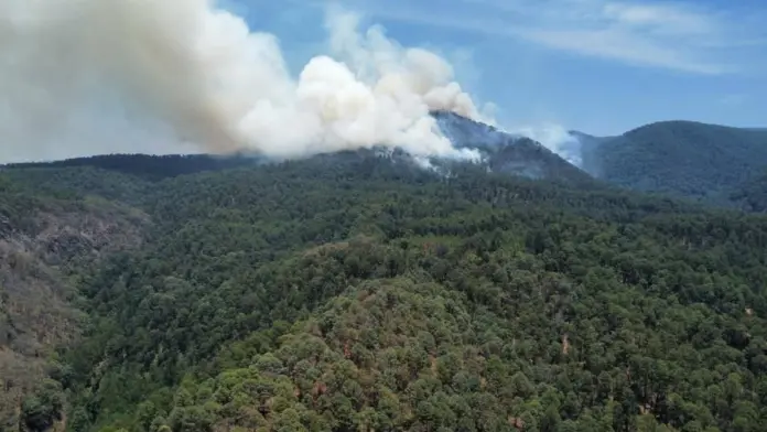 Incendio fue mínimo en el Santuario de la Monarca
