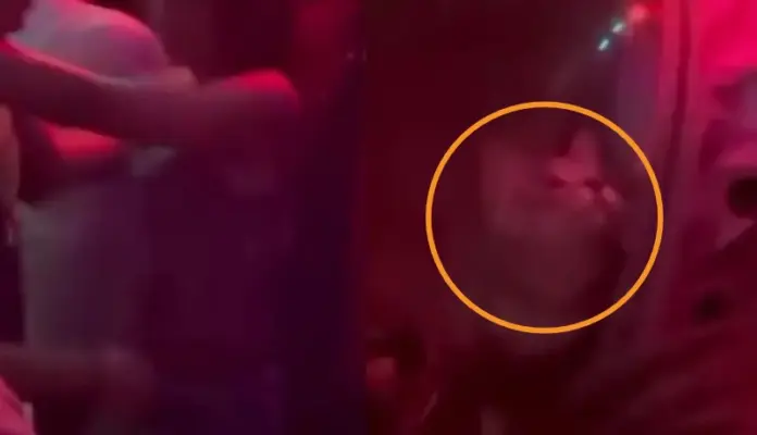 #Video: Denuncian maltrato animal por joven que llevó a su gato a un antro