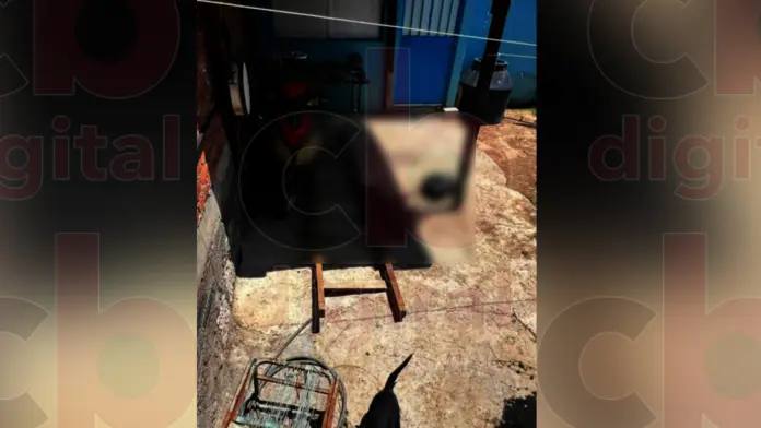 Denuncian grave caso de maltrato animal en fraccionamiento San Bernabé