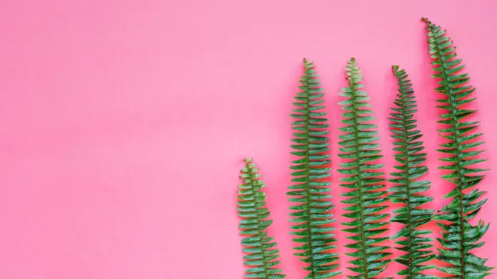 ¿Qué ventajas ofrece el follaje artificial frente al natural en decoración interior y exterior?