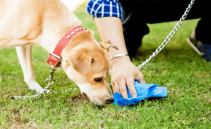 Mujer es agredida con machete luego de que su perro hiciera sus necesidades en puerta de vecina