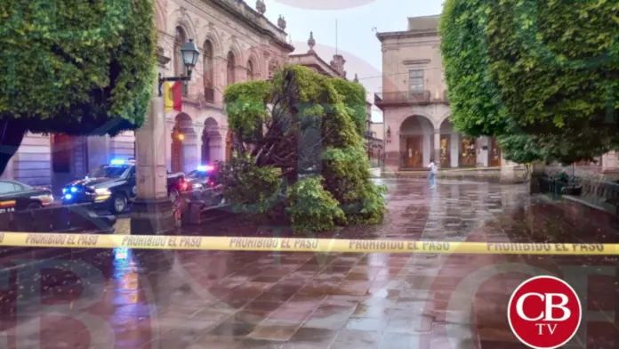 Colapsan 2 árboles en Morelia
