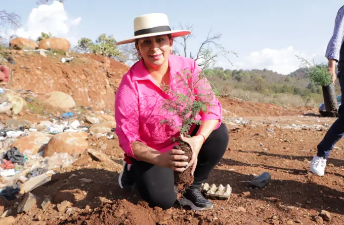 Gobierno de Quiroga plantó más de 500 árboles en el Día Mundial del Medio Ambiente