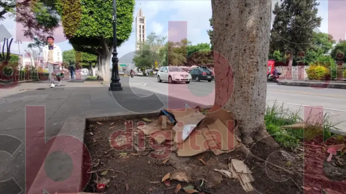 Por falta de cultura, jardineras en Plaza Niños Héroes, están repletas de basura
