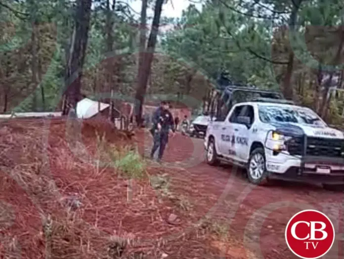 Domingo de triunfos nicolaitas en la Liga Municipal
