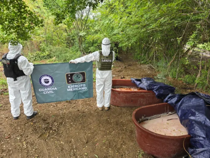 Asegura SSP más de 470 kg de droga en el mes de mayo