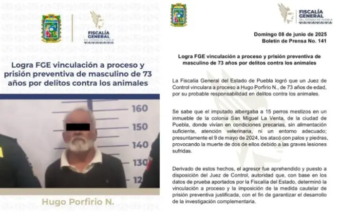 Vinculan a proceso a anciano por maltrato animal con piedras y palos contra 15 perros dentro de su domicilio