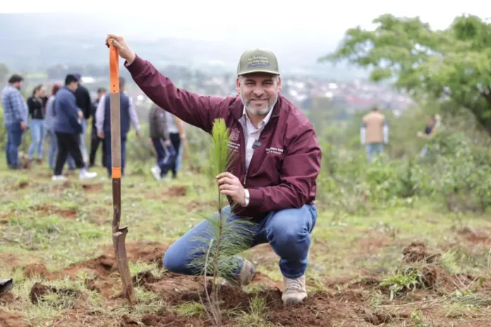 Michoacán impulsa reforestación histórica para recuperar el lago de Pátzcuaro: Bedolla