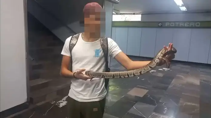 Un chico es encontrado con una serpiente en el metro de la CDMX