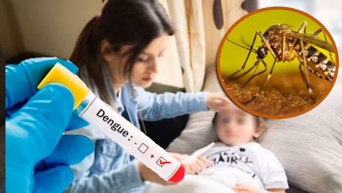 Alerta caso de dengue por tres fallecimientos