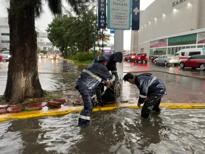 Brigadas de la Secretaría de Servicios Públicos