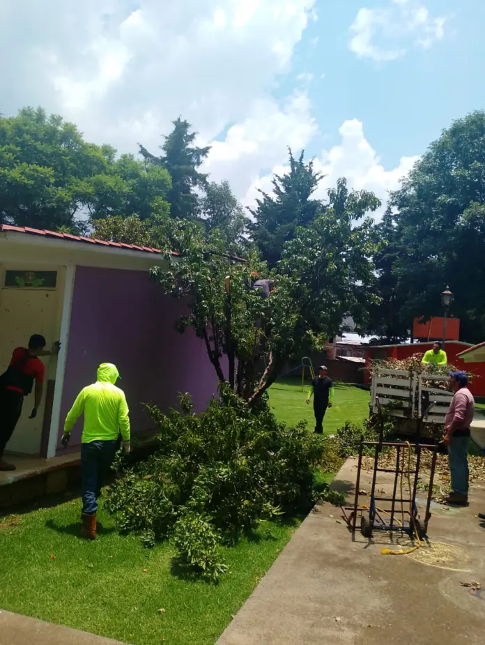 Refuerza Alma Mireya González cuidado de áreas verdes