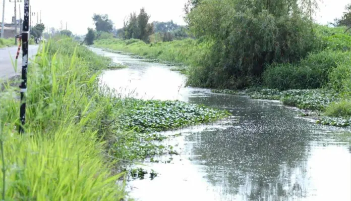 Ríos y drenes se mantienen bajo control; asegura OOAPAS Morelia