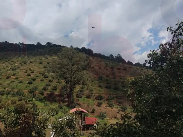 Localizan narcocampamento en Zirahuén