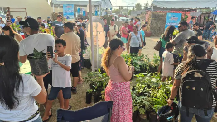 Gobierno Municipal impulsa la reforestación en Playa Azul