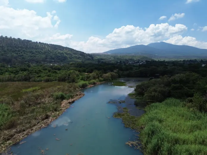 La Comisión de Pesca del Estado de Michoacán (Compesca) realiza acciones de recuperación en el manantial de La Mintzita, una de las principales
