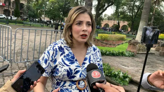 PRD en proceso de reorganización asegura Brisa Arroyo