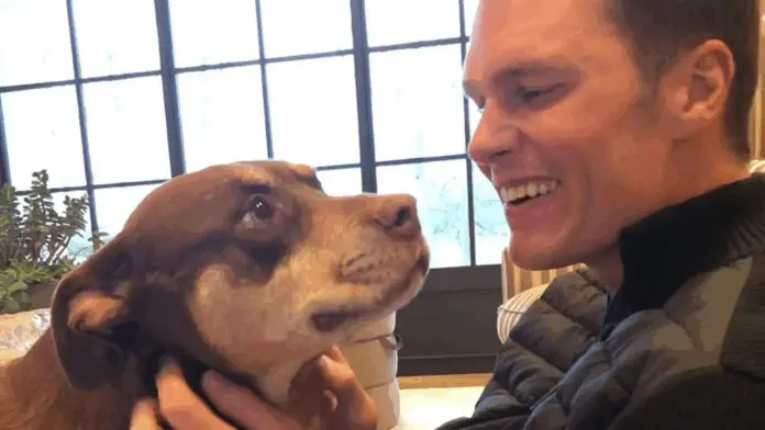 Tom Brady revela que clonó a su perrita dos años después de su muerte