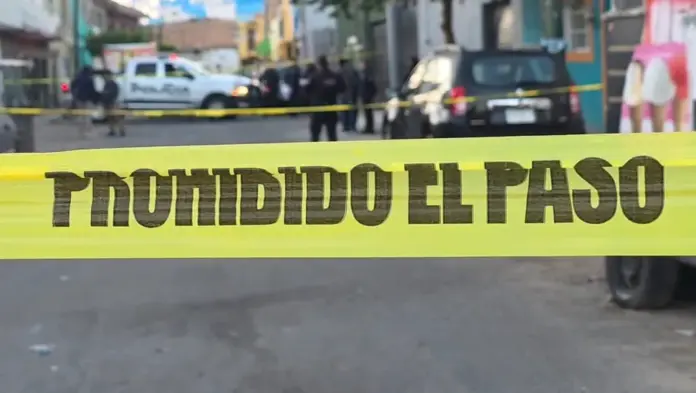 Sobrino asesina a su tía y los policías lo descubren in fraganti